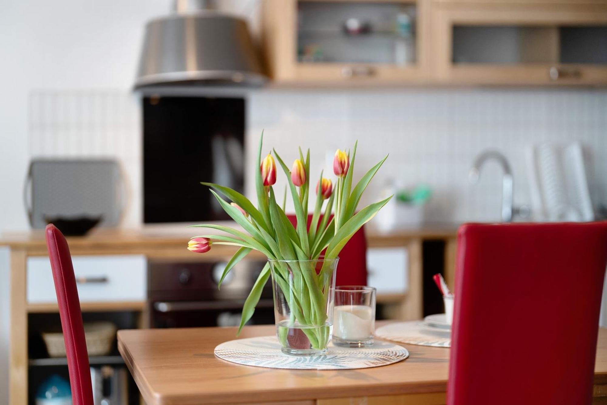 Alexander Feiss Apartment Schonach im Schwarzwald Luaran gambar